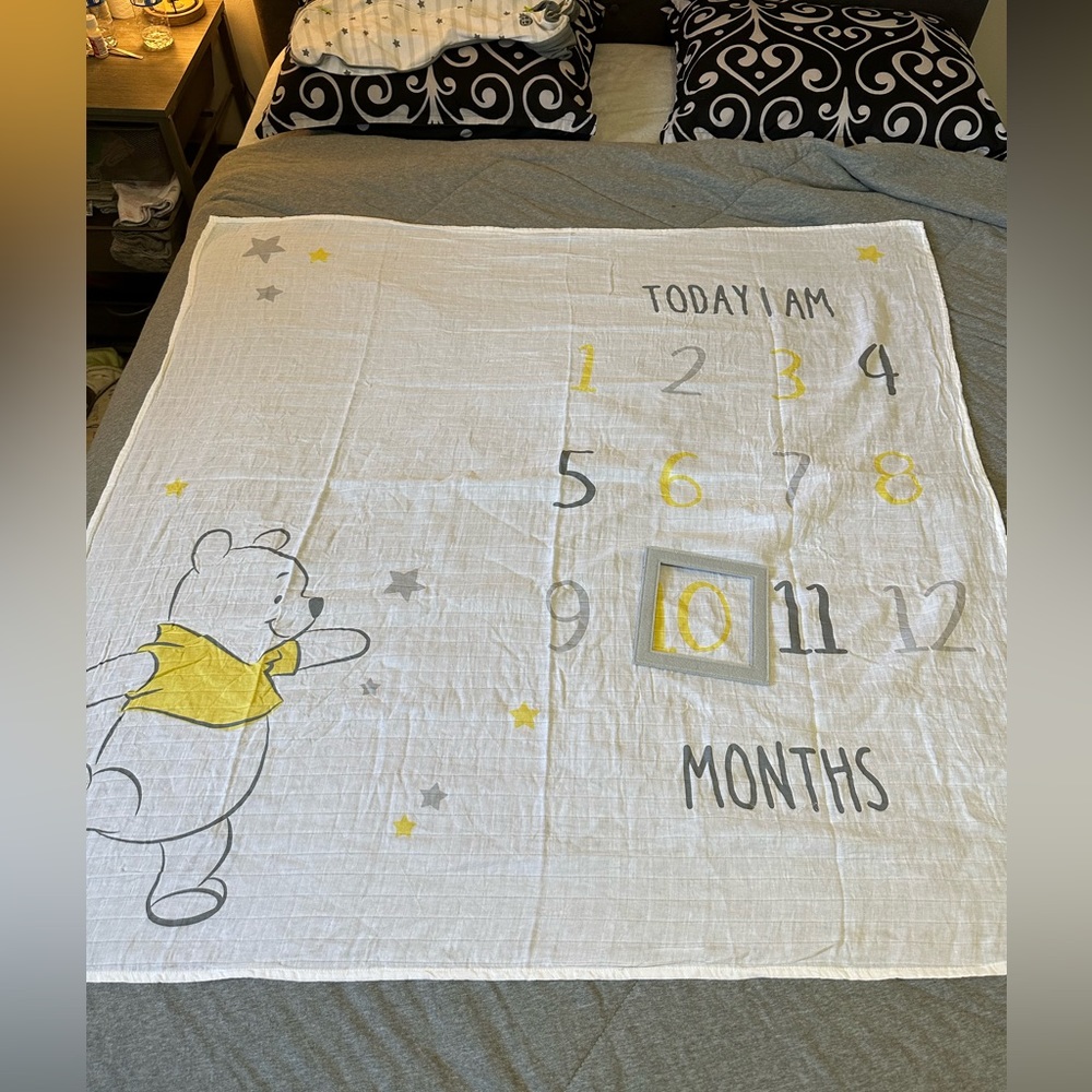 Baby milestone blanket